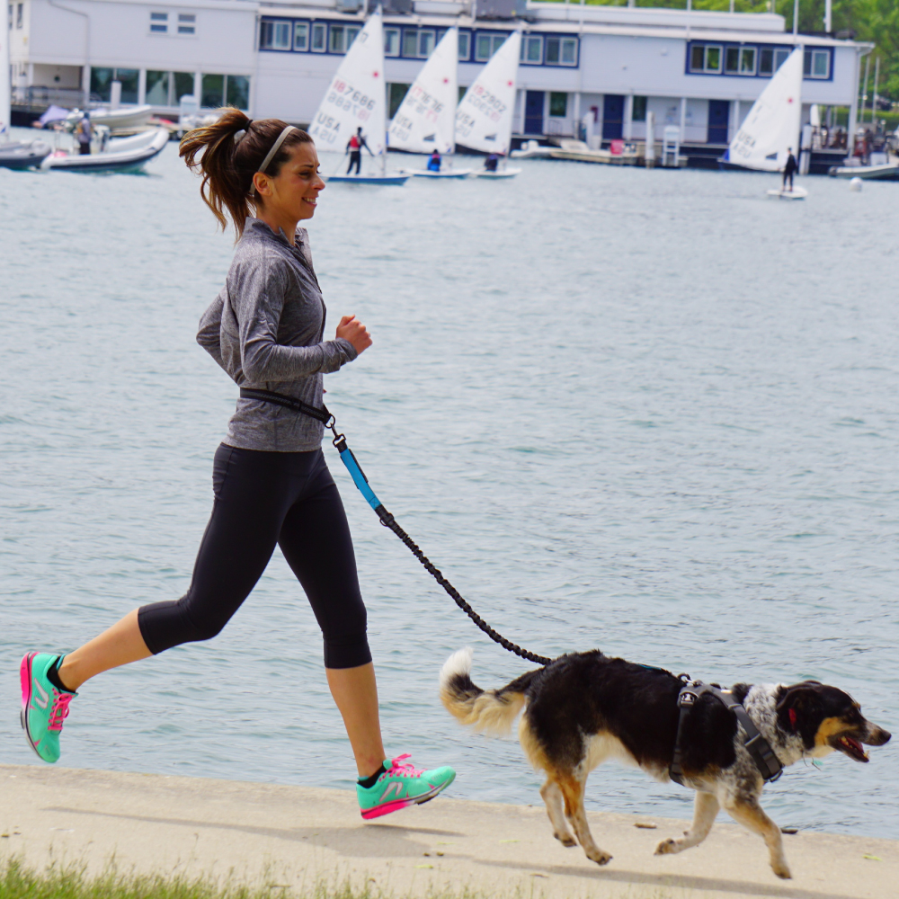 Hand Free Dog Leash for Pet Wa - Running Gear Belt avaliação e preço