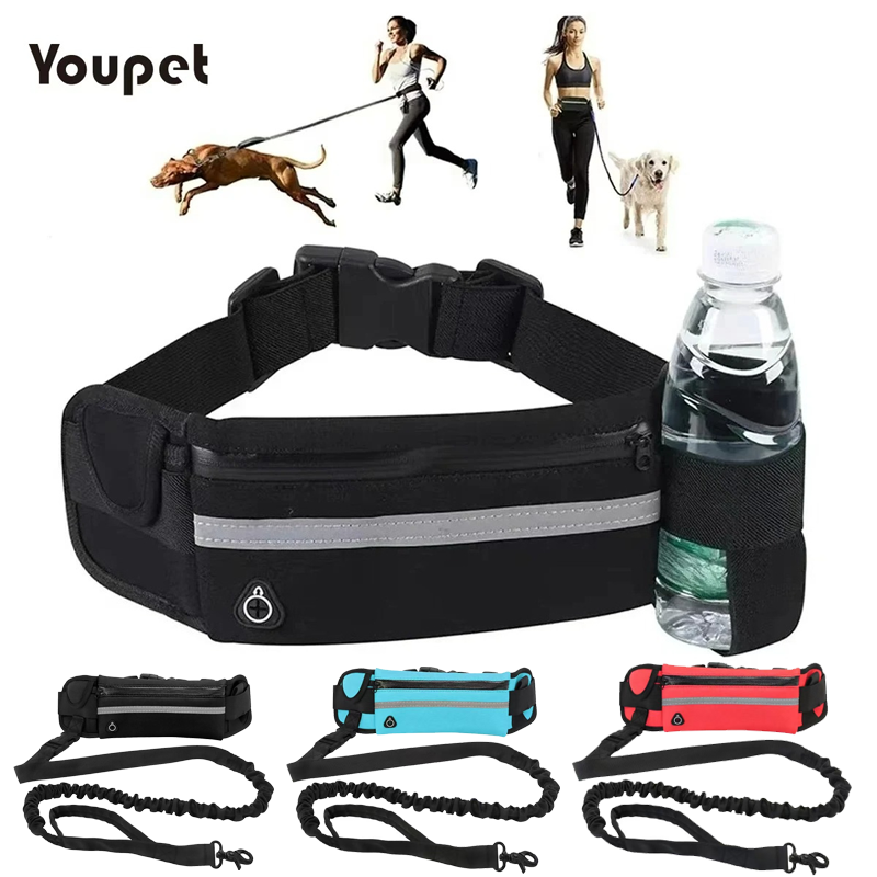 Dog Running Waist Leash Nylon  - Running Gear Belt avaliação e preço