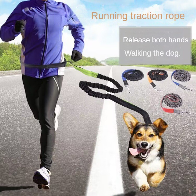 Hand Free Dog Leash for Pet Wa - Running Gear Belt avaliação e preço