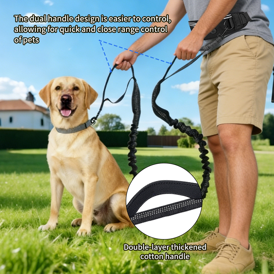 Foldable Reflective Dog Leash  - Running Gear Belt avaliação e preço